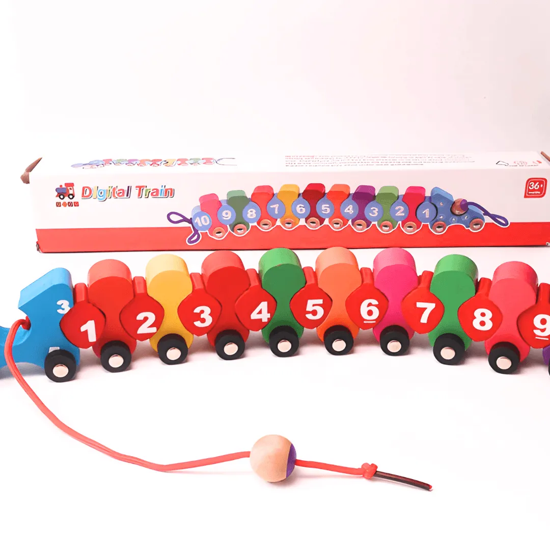 Caterpillar Wooden Digital Train Lacing Toy for kids Age 3 