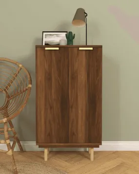 Cheyenne 2 Door Shoe Cabinet