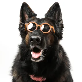 PET OPTIC SHADES - SAFARI SUNGLASSES